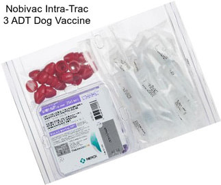 Nobivac Intra-Trac 3 ADT Dog Vaccine