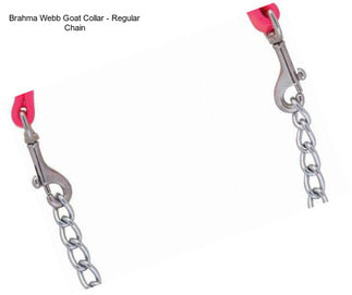 Brahma Webb Goat Collar - Regular Chain