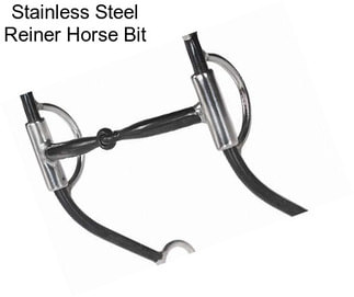 Stainless Steel Reiner Horse Bit