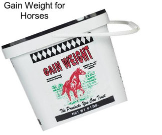 Gain Weight for Horses