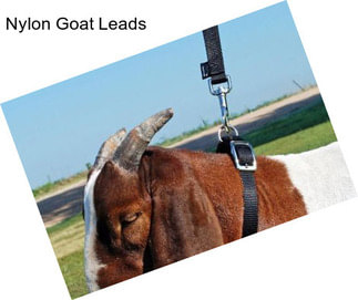 Nylon Goat Leads