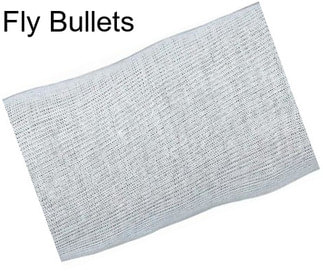 Fly Bullets