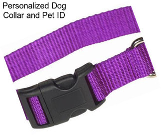 Personalized Dog Collar and Pet ID