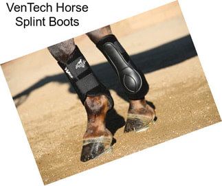 VenTech Horse Splint Boots