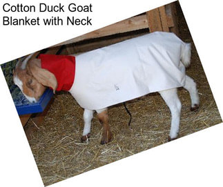 Cotton Duck Goat Blanket with Neck