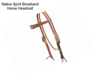 Native Spirit Browband Horse Headstall