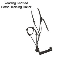 Yearling Knotted Horse Training Halter