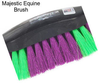 Majestic Equine Brush