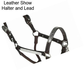 Leather Show Halter and Lead