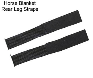 Horse Blanket Rear Leg Straps