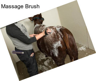 Massage Brush