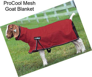 ProCool Mesh Goat Blanket