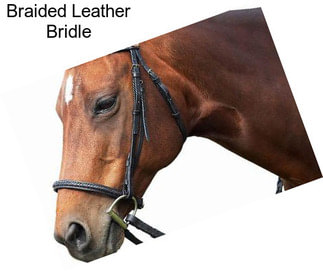 Braided Leather Bridle