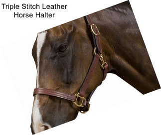 Triple Stitch Leather Horse Halter