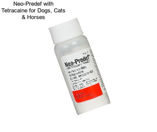 Neo-Predef with Tetracaine for Dogs, Cats & Horses