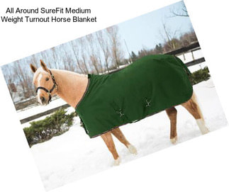 All Around SureFit Medium Weight Turnout Horse Blanket