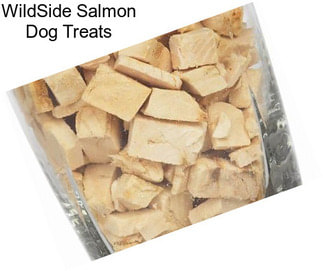 WildSide Salmon Dog Treats