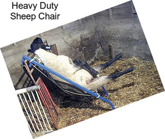 Heavy Duty Sheep Chair