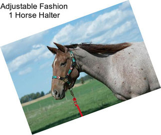 Adjustable Fashion 1\