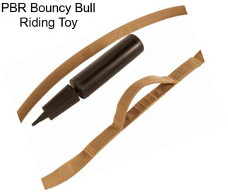 PBR Bouncy Bull Riding Toy