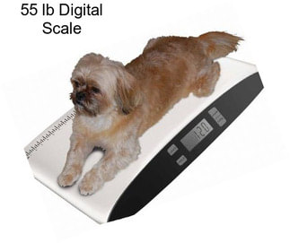 55 lb Digital Scale