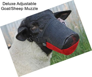 Deluxe Adjustable Goat/Sheep Muzzle