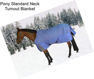 Pony Standard Neck Turnout Blanket