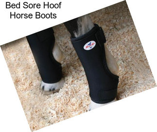 Bed Sore Hoof Horse Boots