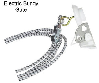 Electric Bungy Gate