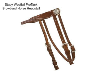 Stacy Westfall ProTack Browband Horse Headstall