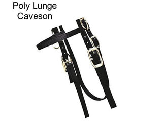 Poly Lunge Caveson