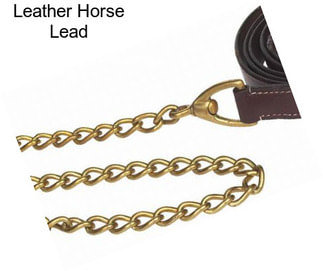 Leather Horse Lead