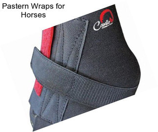 Pastern Wraps for Horses