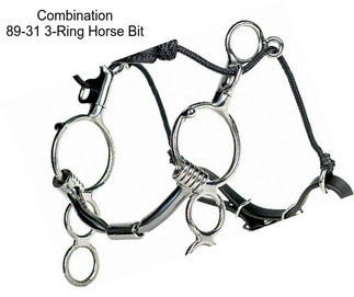 Combination 89-31 3-Ring Horse Bit