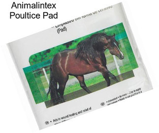 Animalintex Poultice Pad