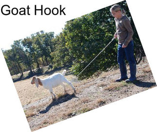 Goat Hook