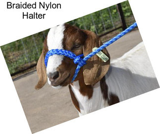 Braided Nylon Halter