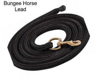 Bungee Horse Lead