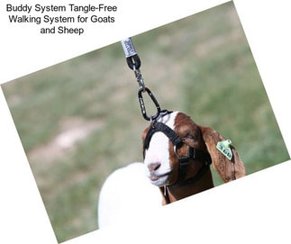 Buddy System Tangle-Free Walking System for Goats and Sheep