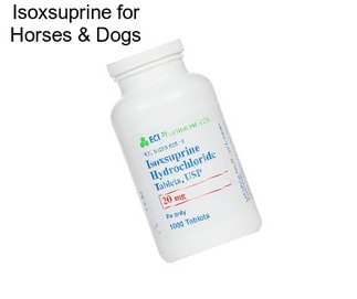 Isoxsuprine for Horses & Dogs