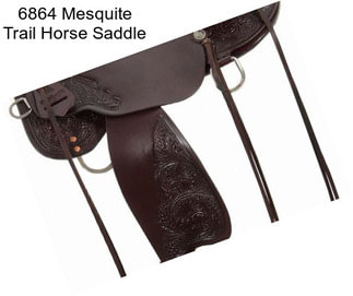6864 Mesquite Trail Horse Saddle