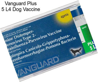 Vanguard Plus 5 L4 Dog Vaccine