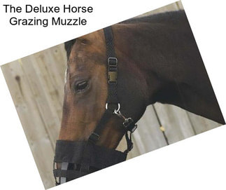 The Deluxe Horse Grazing Muzzle