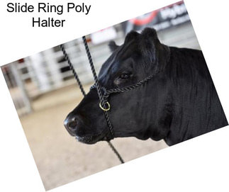 Slide Ring Poly Halter