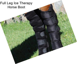 Full Leg Ice Therapy Horse Boot