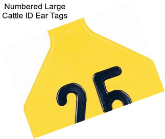 Numbered Large Cattle ID Ear Tags