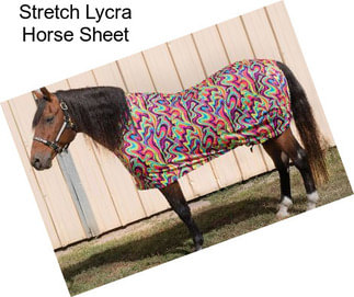 Stretch Lycra Horse Sheet