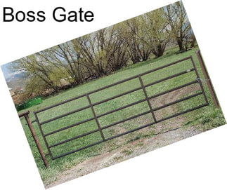 Boss Gate