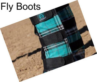 Fly Boots