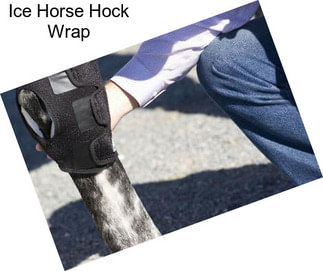 Ice Horse Hock Wrap